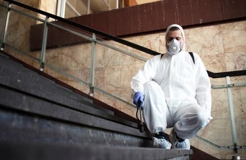 mold testing las vegas