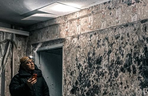 mold inspection las vegas