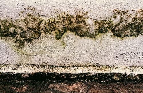 mold remediation las vegas