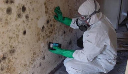 las vegas mold testing company