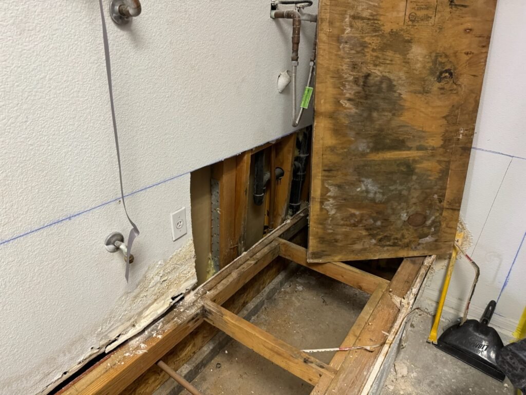 mold remediation sunrise nv