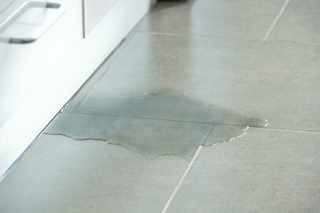 water leak detection services